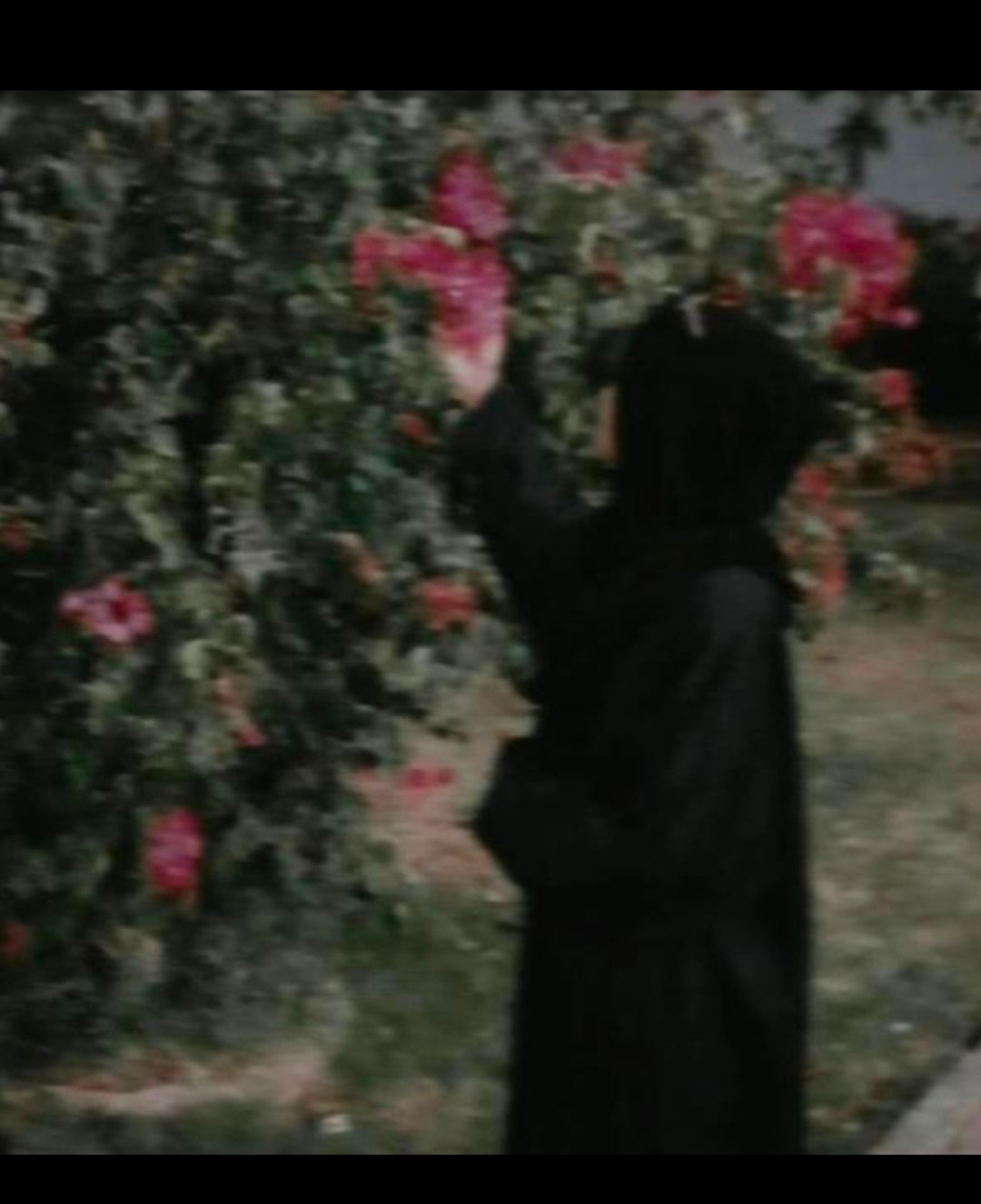 Tayyaba Abbasi